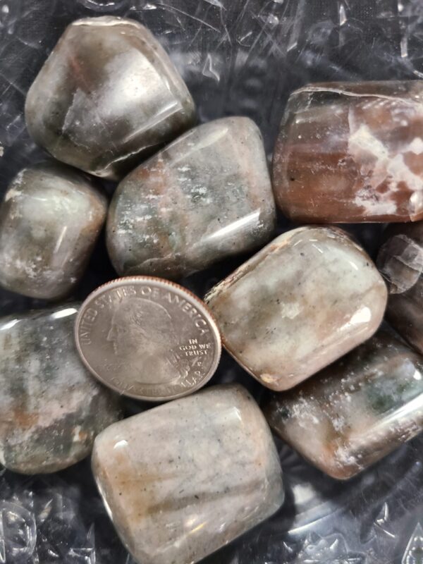 Cat's Eye Tumble