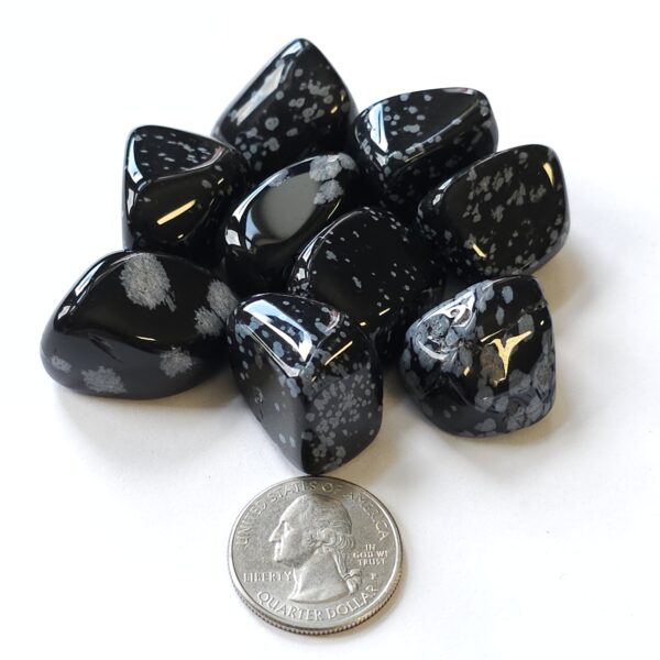 Snowflake Obsidian Tumble