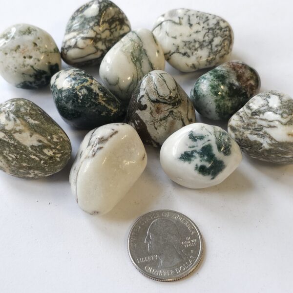 Tree Agate Tumble