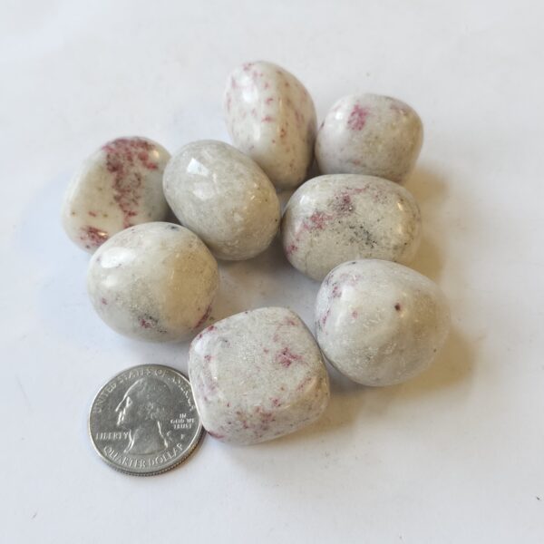 Scapolite Tumble