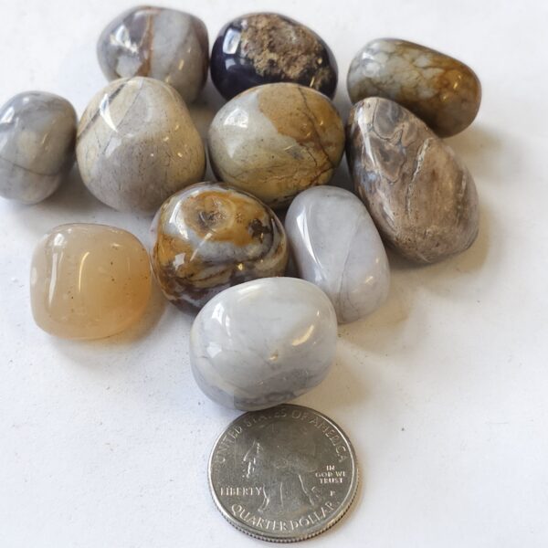 Purple Chalcedony Tumble