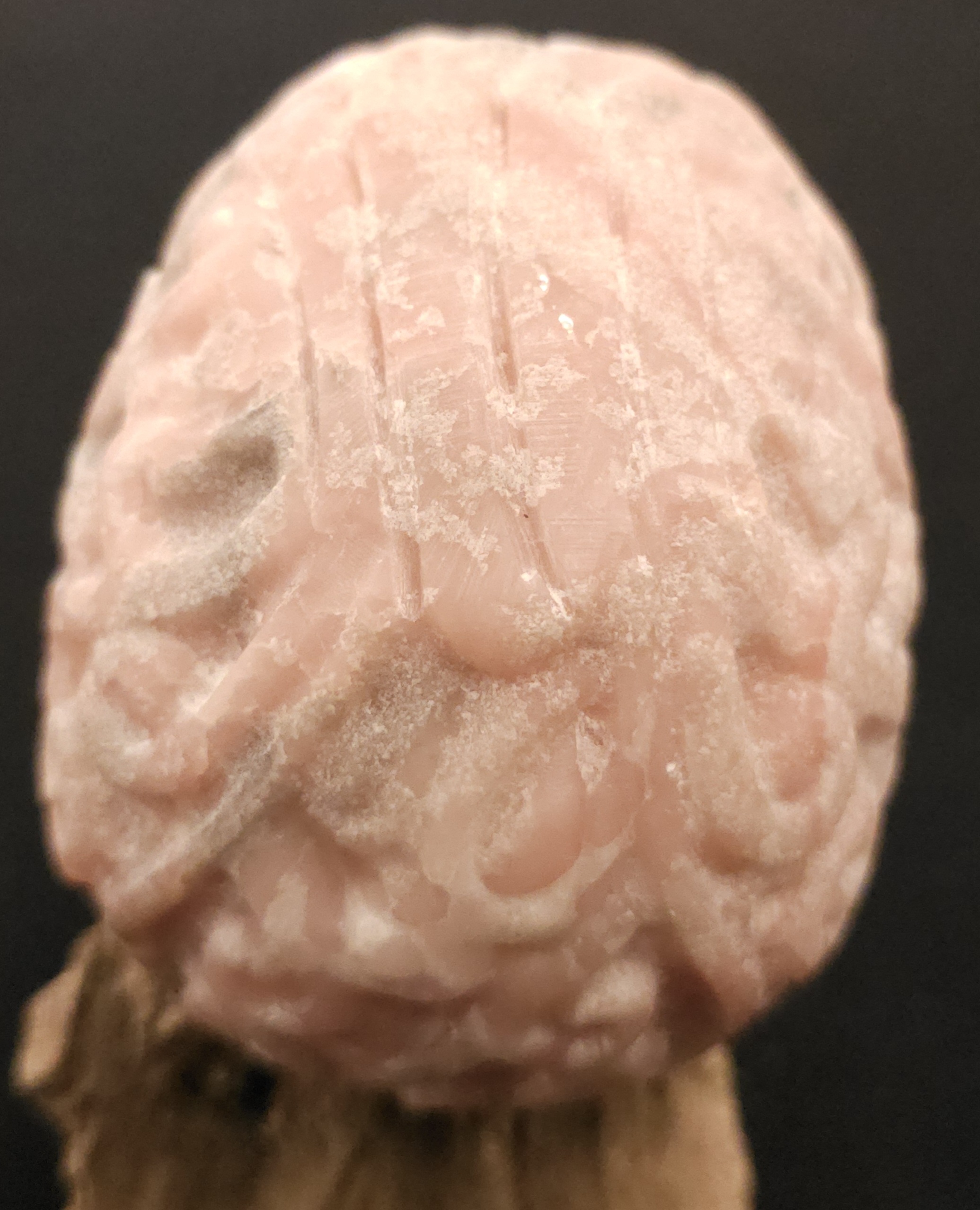 Pink Opal Skull - Image 7
