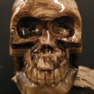 Chocolate Calcite Skull