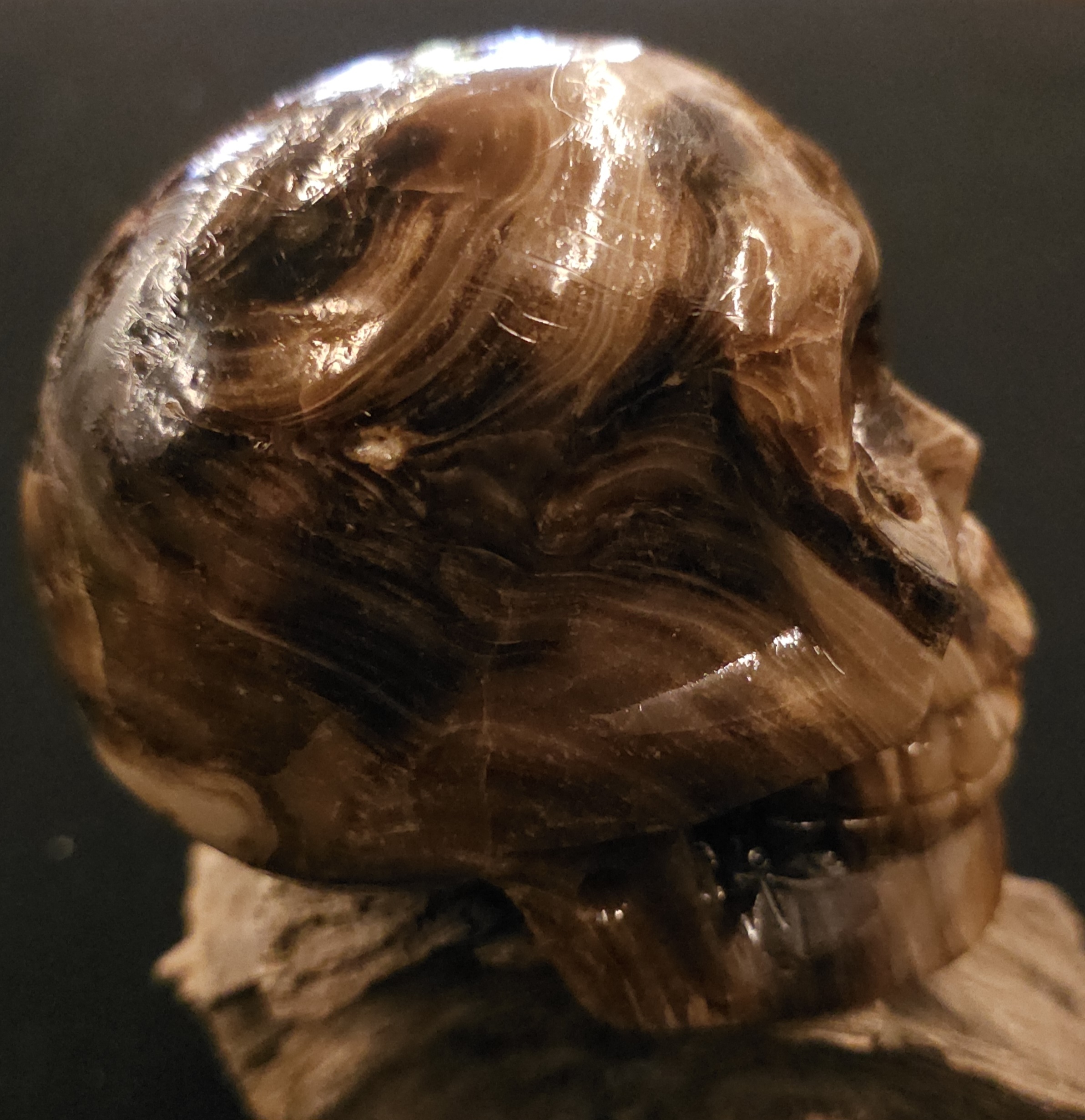 Chocolate Calcite Skull - Image 2