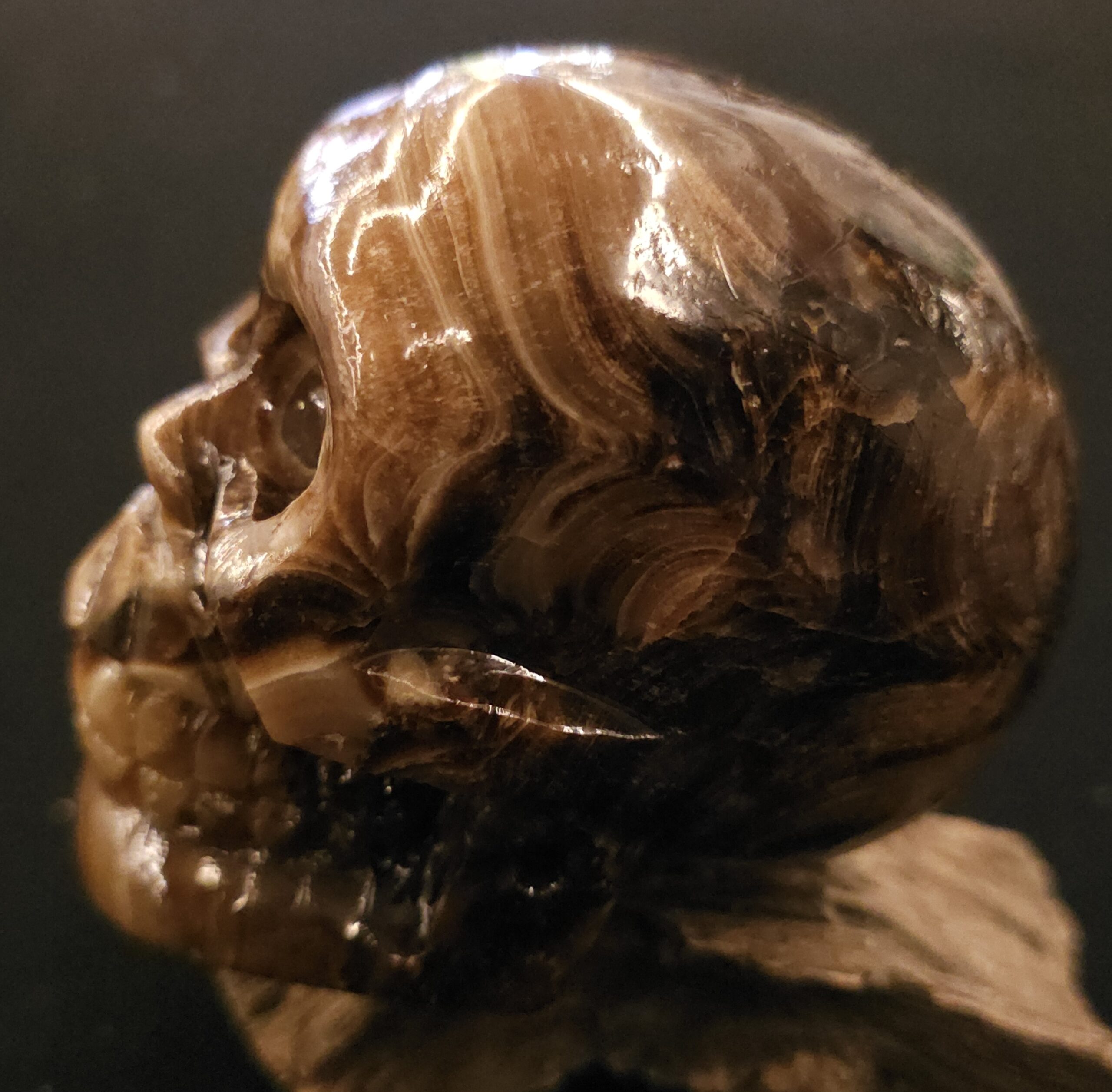 Chocolate Calcite Skull - Image 4