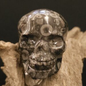 Small Fossil Stone Skull