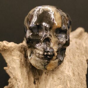 Small Porphyritic Rhyolite Skull (Que Sera)